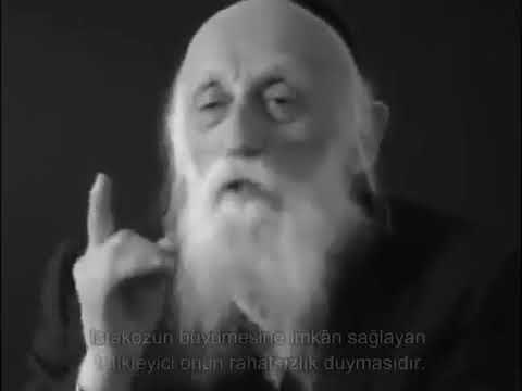 Istakozlar Nasıl Büyür   Büyük Hayat Dersi