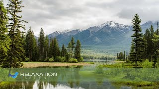 ? Música Relaxante para Alívio do Stress Meditação, Sono e Meditação ? Top40