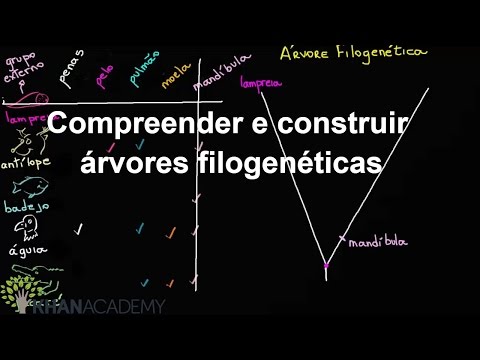 Compreendendo e construindo árvores filogenéticas (vídeo) | Khan Academy