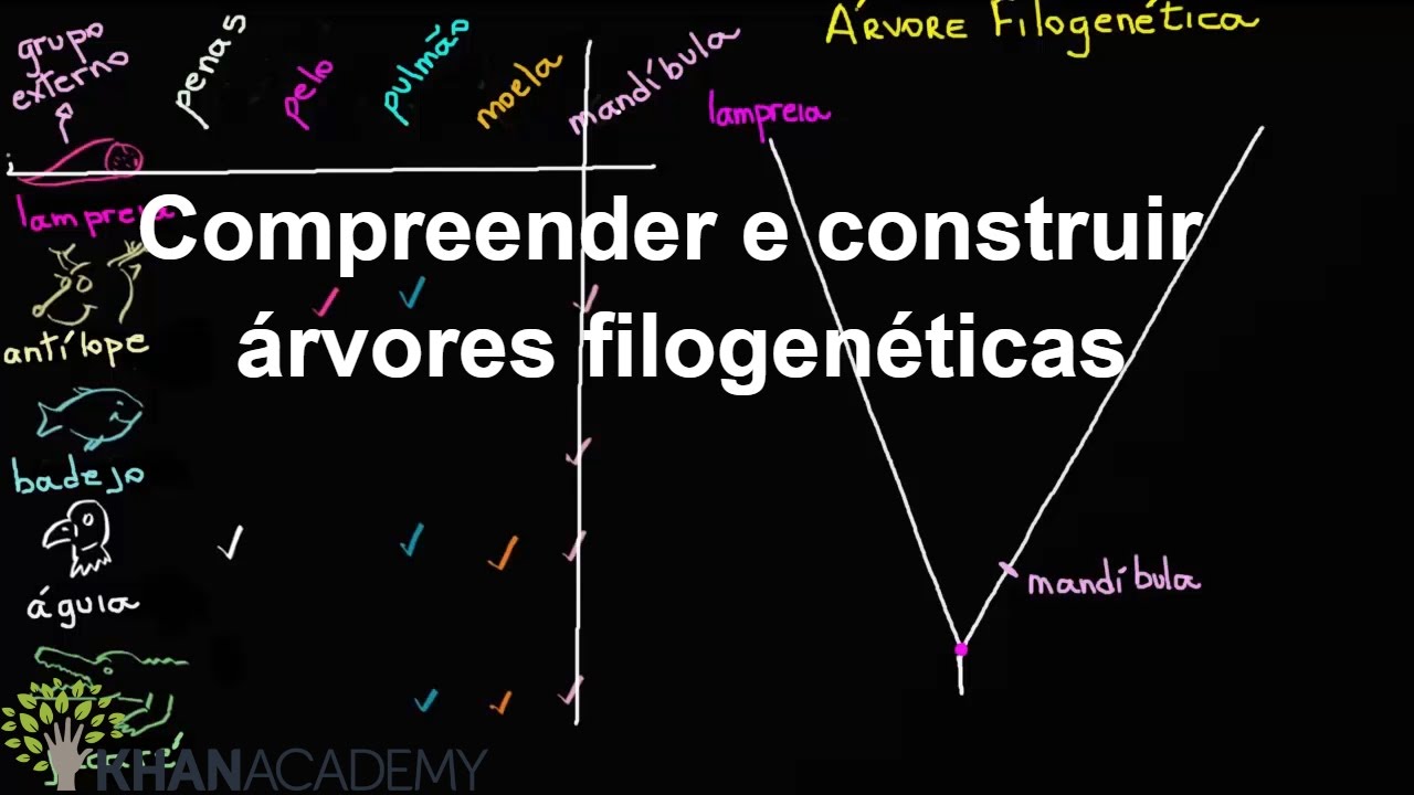 Compreender e construir árvores filogenéticas |A evolução e a árvore da vida |Biologia |Khan Academy
