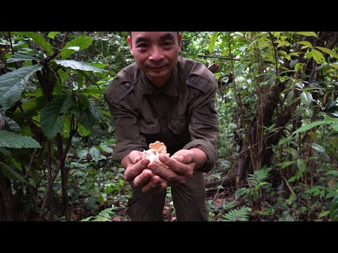 Mr Deep 's extremely difficult day | LIVING OFF THE GRID | Episode 9