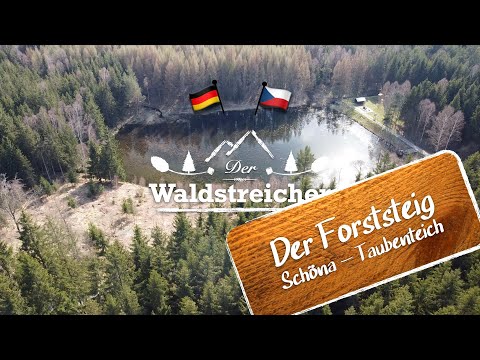 Wandern auf dem Forststeig – Von Schöna bis zum Taubenteich