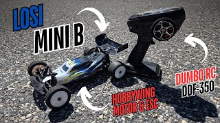 Brushless Losi Mini B is Back! New Dumbo Transmitter and New Hobbywing Esc & Motor! 