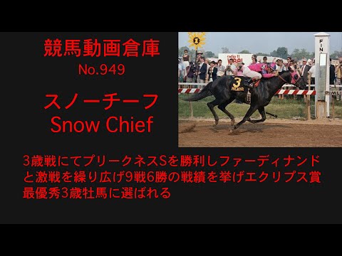 【競馬】スノーチーフ　Snow Chief【No 949】