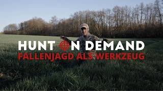 Warum, wie und wann nicht? - Fallenjagd als Werkzeug von @Freunde_der_Jagd