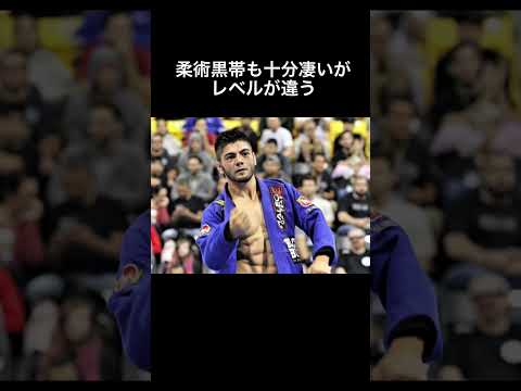 日本柔術界最高傑作　ホベルト・サトシ・ソウザ