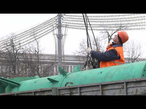 У Гомелі ўсталёўваюць галоўную ёлку вобласці видео