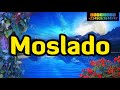 Moslado TENI Moslado Teni