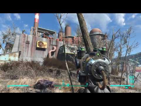 I Will Survive Pt.186