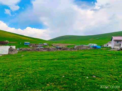 SEYFİ DOĞANAY DAMAR GÜZEL BİR PARÇA