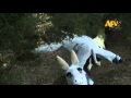 Mascot Montage