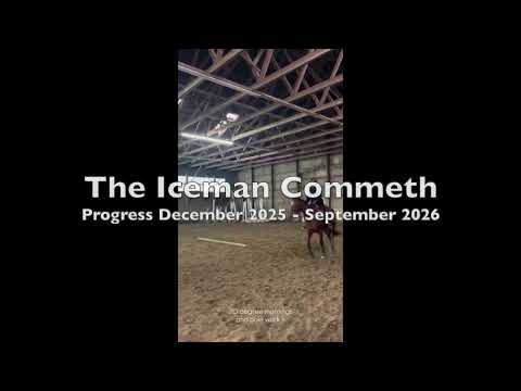 youtube preview