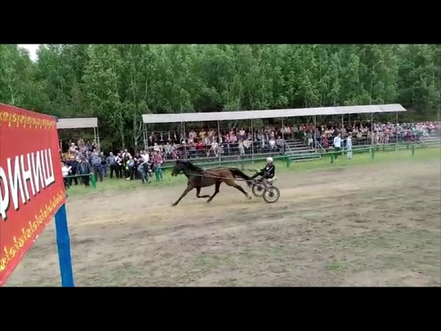 Сабантуй. Скачки. Базарные Матаки
