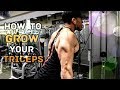Top 5 Exercises For Bigger Triceps