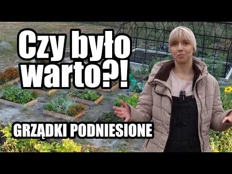 Raised beds: how easy it is to make, pros and cons. My opinion after a year of use.