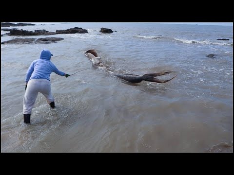 Encontró una Sirena Real y Ocurrió Algo Muy Aterrador   Encuentros Con Sirenas Captados en Videos