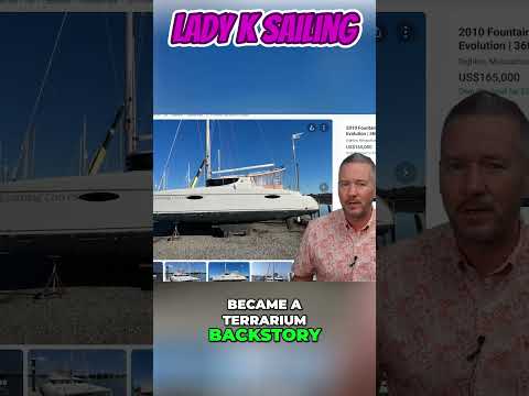 Why is this Catamaran So CHEAP? - Ep 365 - Lady K Sailing #sailboat #sailboatlife #youtubeshorts