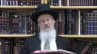 הגאון הרב אברהם יוסף שליט"א האם מותר לברך את ברכת שהחיינו על פירות בימי בין המצרים (הרב אברהם יוסף) - התמונה מוצגת ישירות מתוך אתר האינטרנט יוטיוב. זכויות היוצרים בתמונה שייכות ליוצרה. קישור קרדיט למקור התוכן נמצא בתוך דף הסרטון