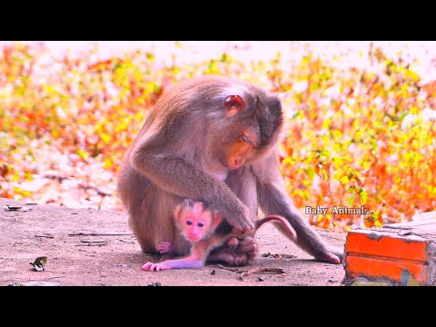 A peaceful morning with Mom Rosyta and her little one