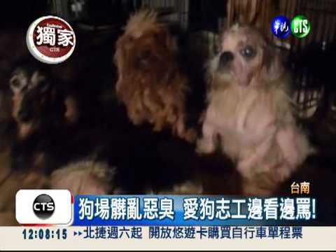 假愛心騙善款 "狗天堂"變地獄!