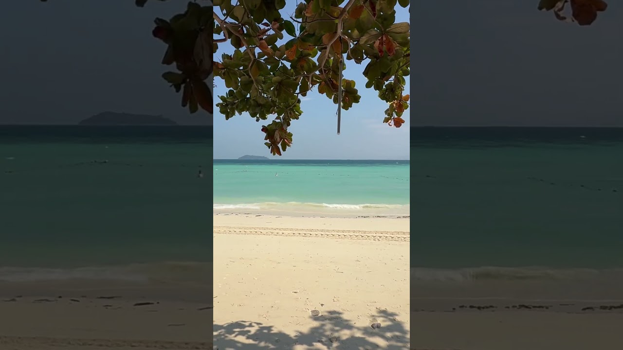 YouTube Short thumbnail