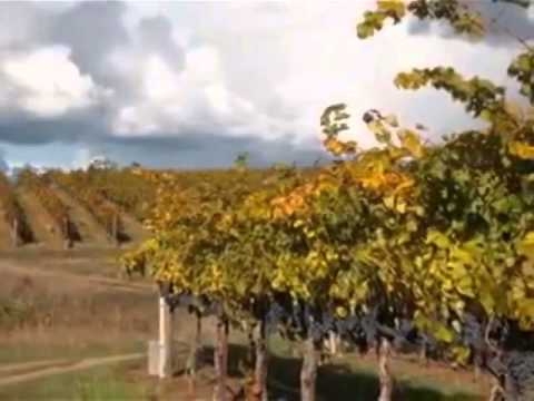 21Acres - Wine Country Fairplay, CA