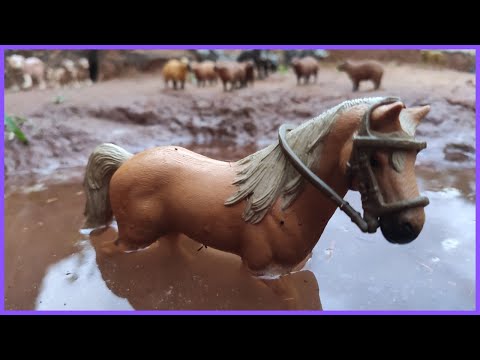 O FAÍSCA SE ASSUSTOU E FUGIU