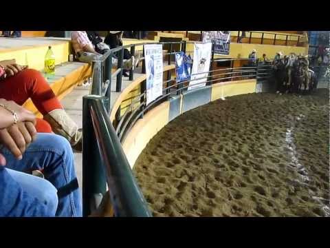 233.MOV   PASO DE LA MUERTE LIENZO SALVADOR MUÑOZ