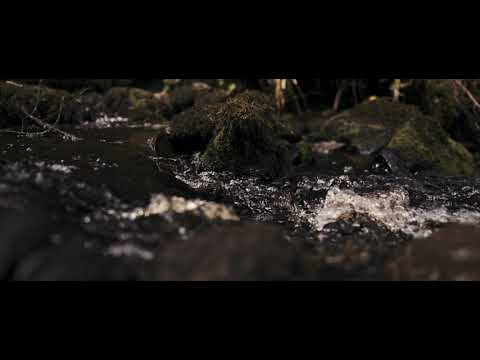 Thumbnail for  Million Miles Away video