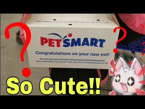 We got a new pet at Petsmart!