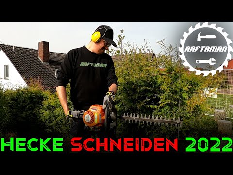 HECKE🌳 richtig schneiden ✂️| Gartenarbeit | Tutorial | DIY | How to