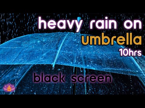 [Black Screen] Heavy Rain on Umbrella No Thunder | Rain Sounds for Sleeping