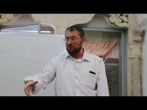 Rav Mark Mays Purim 5777