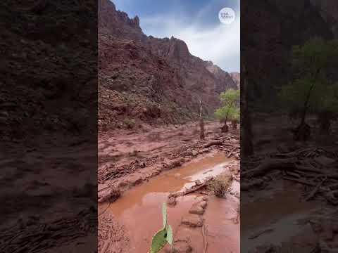 Water flows in Grand Canyon National Park after deadly flash flood