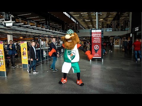 Žalgirinis celebrates beginning of a new school year with the fans!