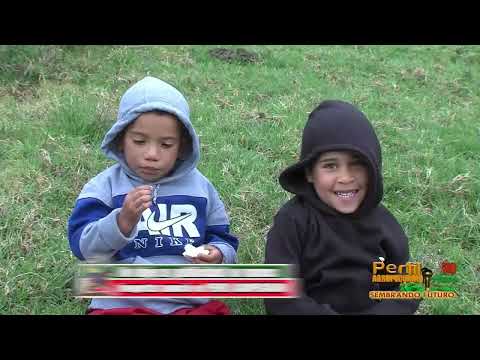 Perfil Agropecuario - 05 de abril de 2026