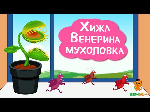 🍀 Дива природи. Явища навколо нас. Венерина мухоловка 🌏