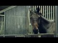 Racing Stories Life At The Yard