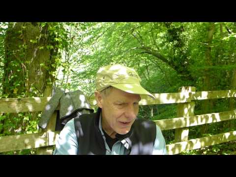 Robin Feeds off Sid's Head