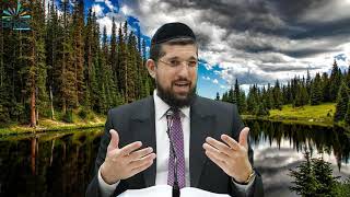נביא שמואל ב | פרק ד ה חלק א | דוד המלך כובש את ירושלים | הרב אליהו עמר