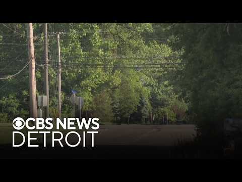 Metro Detroit community residents fighting possible rezoning ...