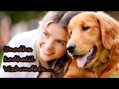 download lagu mp3 mp4 Unakkena Naan Lyrics In Tamil, download lagu Unakkena Naan Lyrics In Tamil gratis, unduh video klip Download Unakkena Naan Lyrics In Tamil Mp3 dan Mp4 Free All Gratis