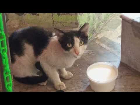 Es saal ke end me happy New year bolne aae hi