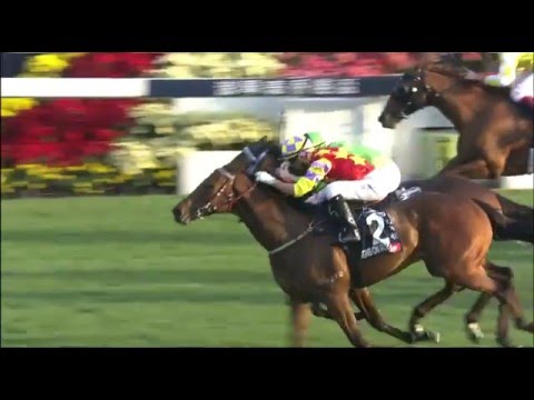 [HKIR 2015] Racing To Win Special : LONGINES HKIR Cup