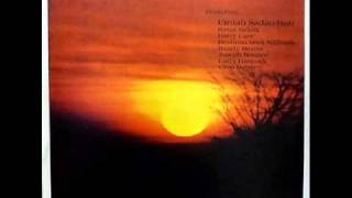 Sadaka - African Violet