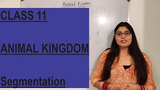 CLASS 11 ANIMAL KINGDOM - Segmentation