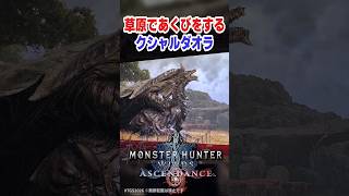 草原であくびをするクシャルダオラ #アセンダンス #モンハンワイルズ #TGS2026