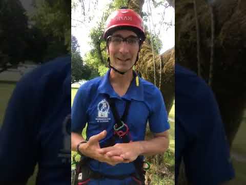 Work Positioning for Safety Webinar with Craig Bachman - TreeStuff