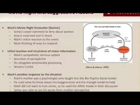 Psychology CORE 2 Podcast Video