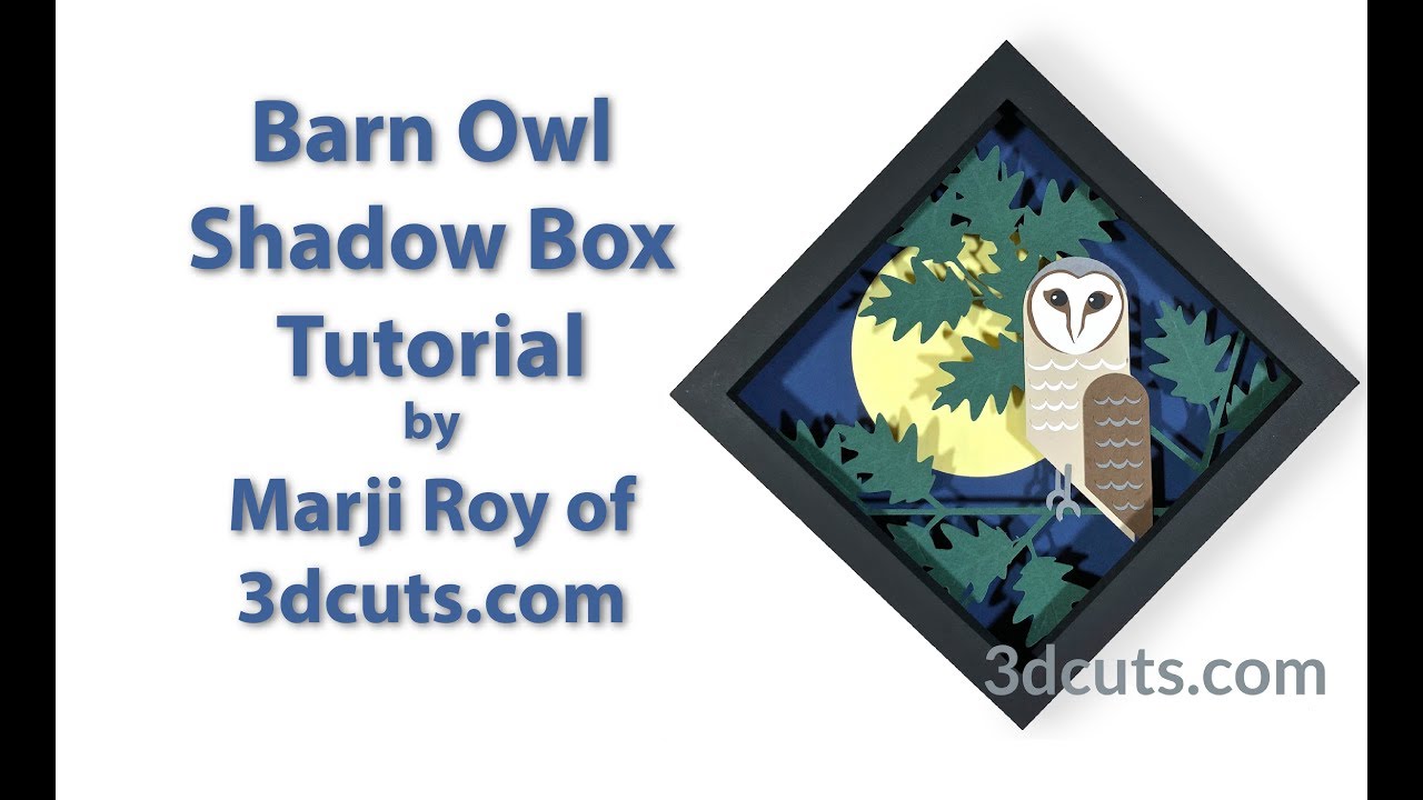 Barn Owl Tutorial 3dcuts